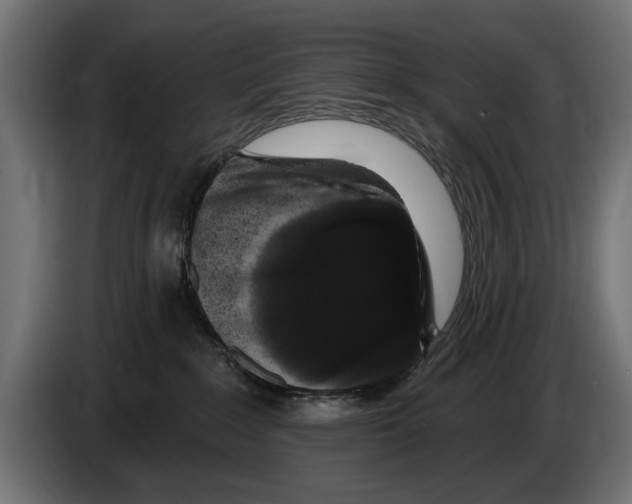 X0000083070235200703022204