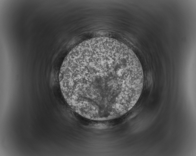 X0000083070236200703022204