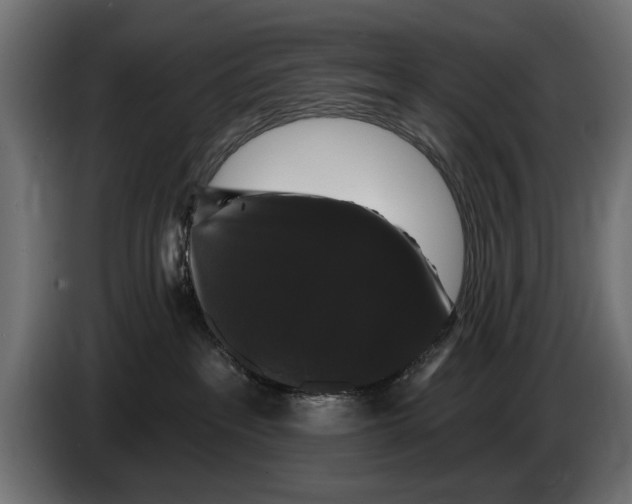 X0000083070237200703022204