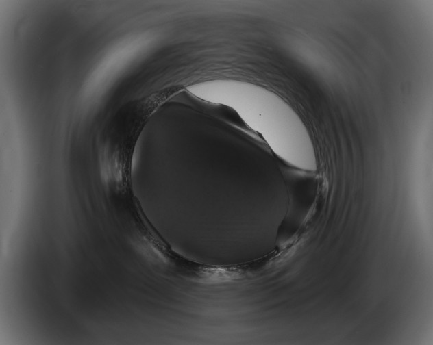 X0000083070239200703022204