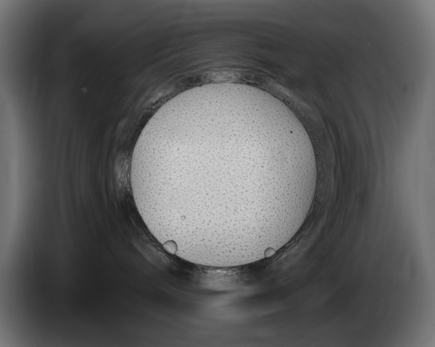 X0000083070240200703022204