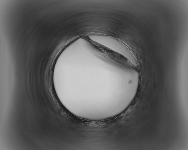 X0000083070241200703022203