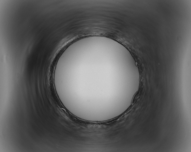 X0000083070242200703022203