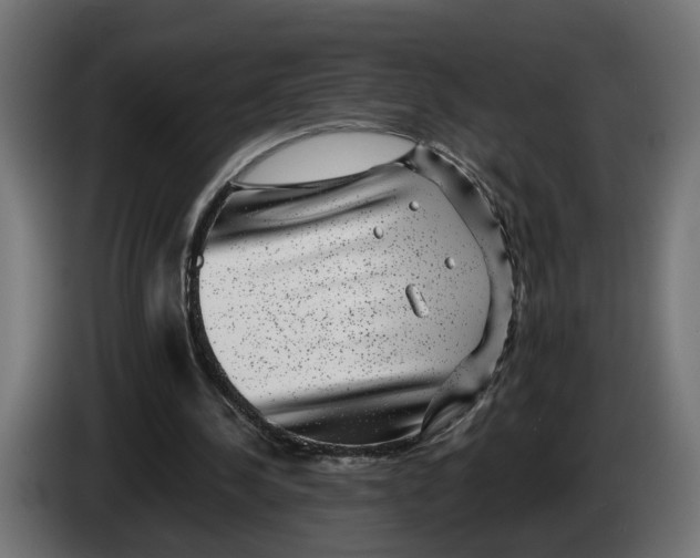 X0000083070244200703022203