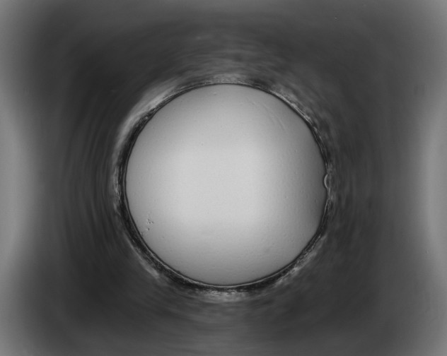 X0000083070245200703022203