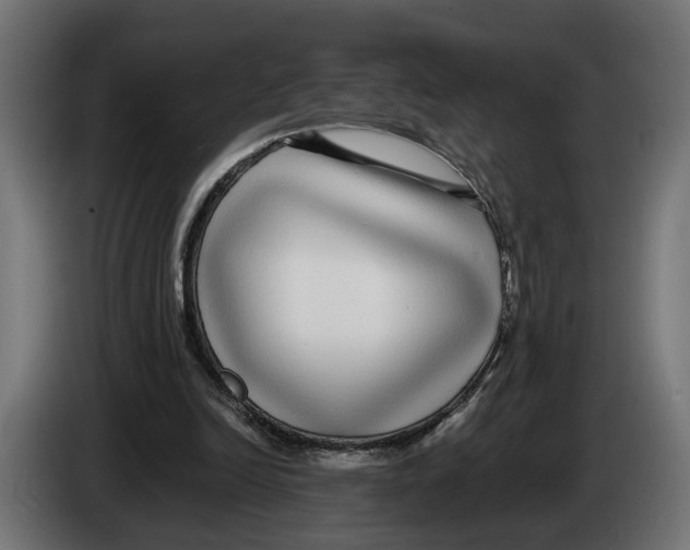 X0000083070246200703022203