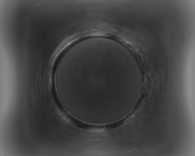 X0000083070247200703022203