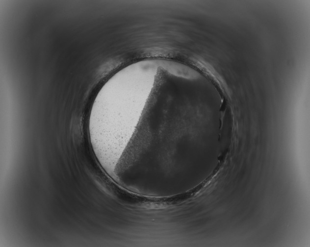 X0000083070250200703022203