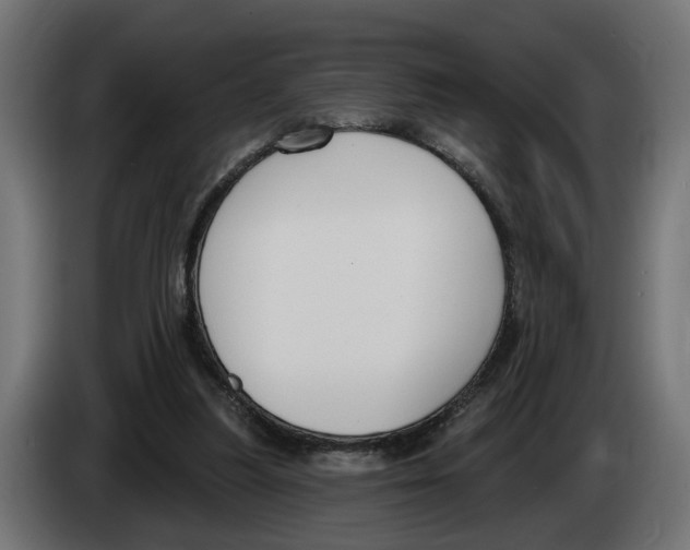 X0000083070251200703022203