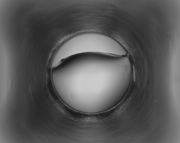 X0000083070252200703022203