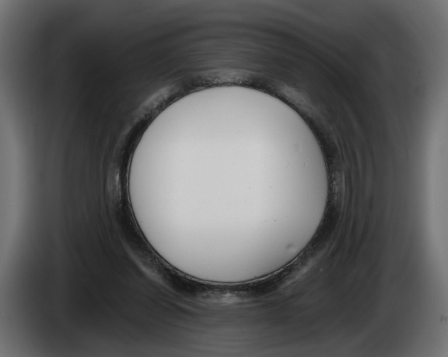 X0000083070254200703022203