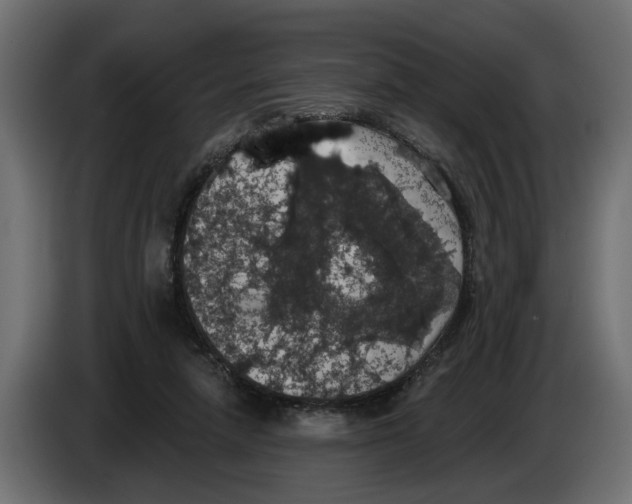 X0000083070258200703022204