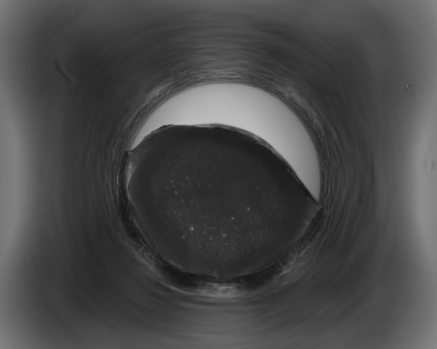 X0000083070260200703022204