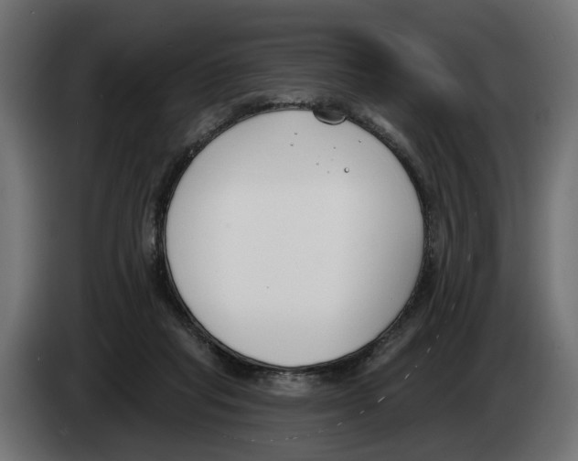 X0000083070261200703022204