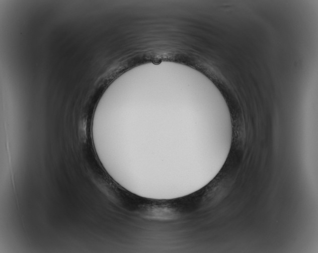 X0000083070262200703022204