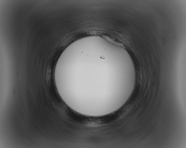 X0000083070263200703022204