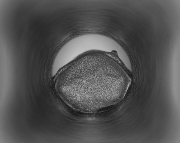 X0000083070264200703022204