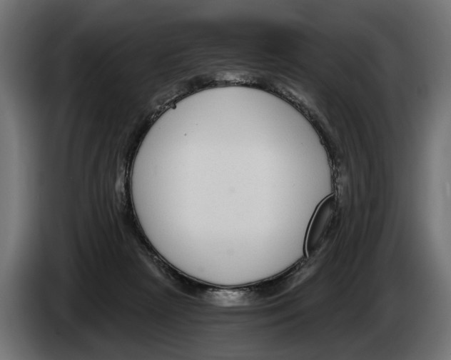 X0000083070265200703022204