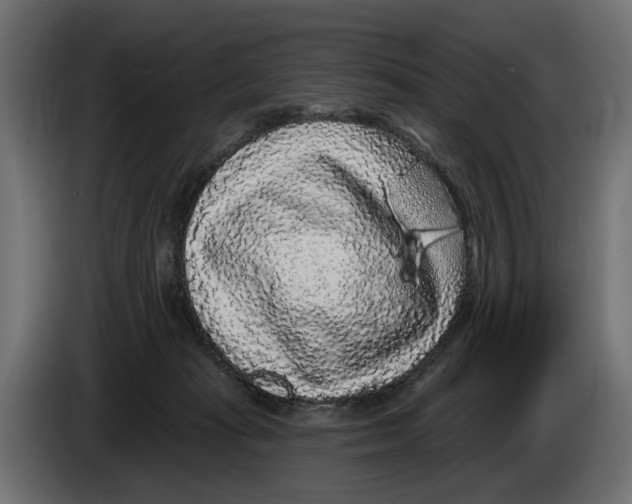 X0000083070269200703022204