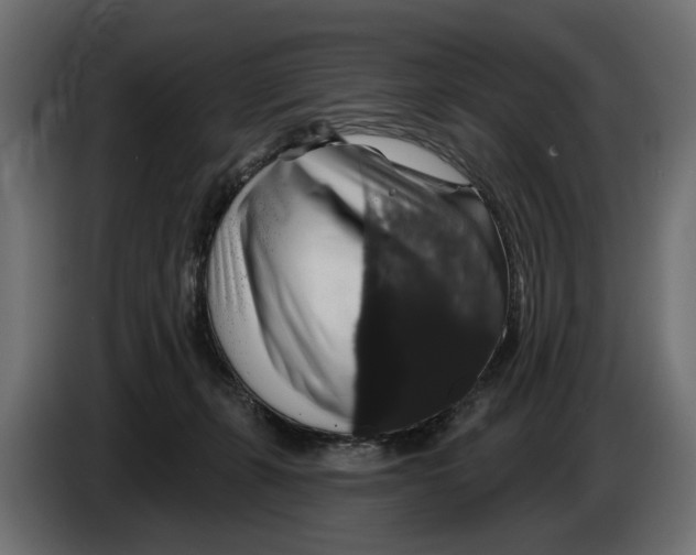 X0000083070271200703022204