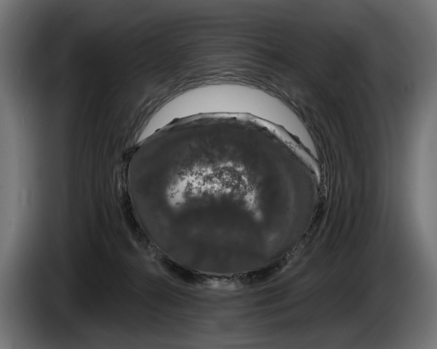 X0000083070272200703022204