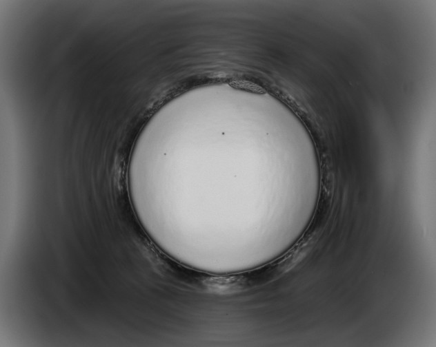 X0000083070273200703022204