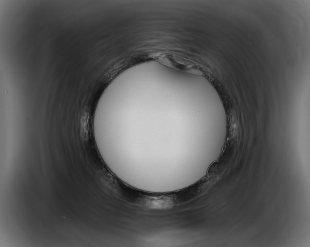 X0000083070275200703022204