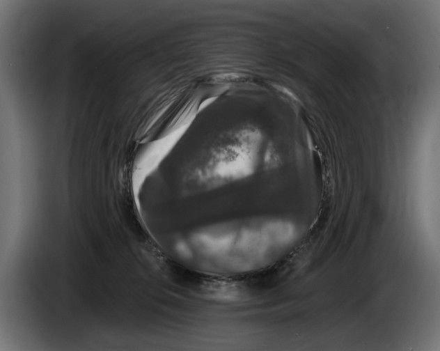 X0000083070276200703022204