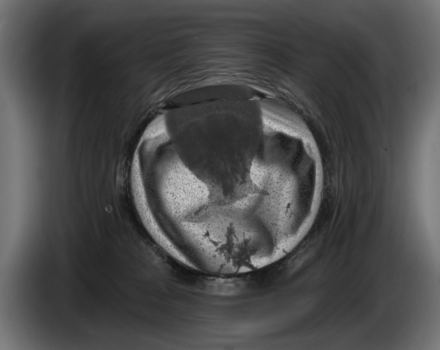 X0000083070277200703022204