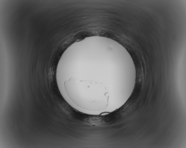 X0000083070279200703022204