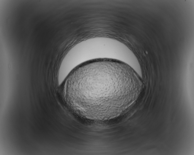 X0000083070280200703022204