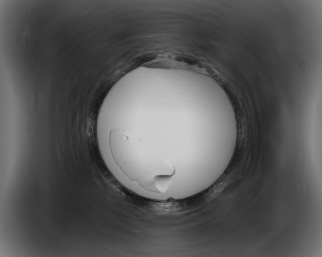 X0000083070281200703022204