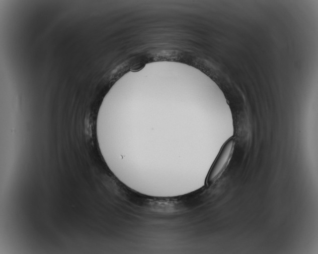 X0000083070282200703022204