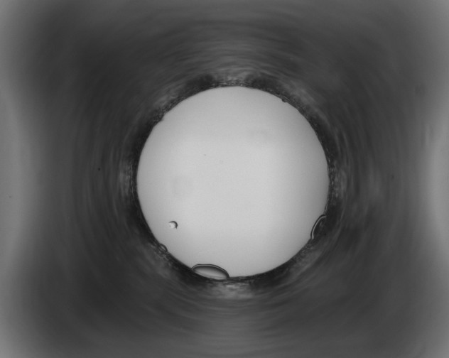 X0000083070283200703022204