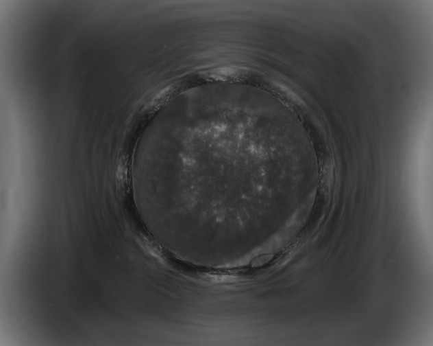 X0000083070284200703022204