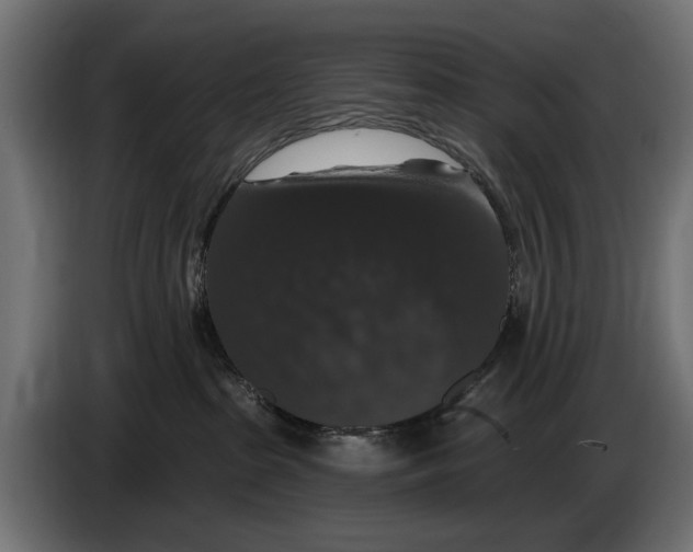 X0000083070285200703022204