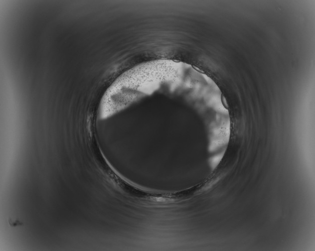 X0000083070286200703022204