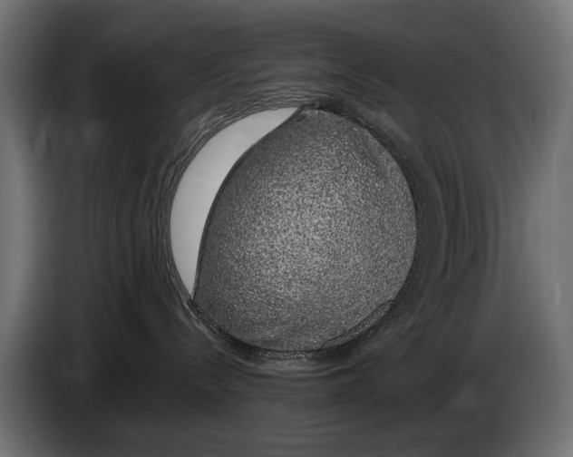 X0000083070288200703022204