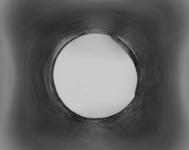 X0000083070289200703022203