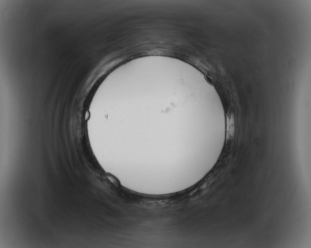 X0000083070291200703022203