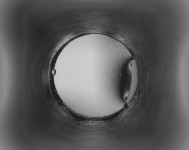 X0000083070292200703022203