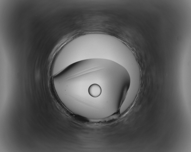 X0000083070293200703022203