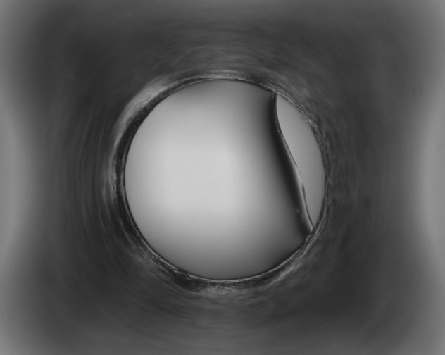 X0000083070294200703022203