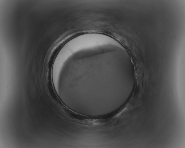 X0000083070295200703022203