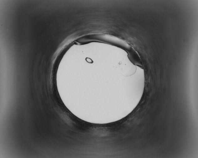 X0000083070296200703022203