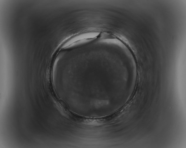 X0000083070297200703022203