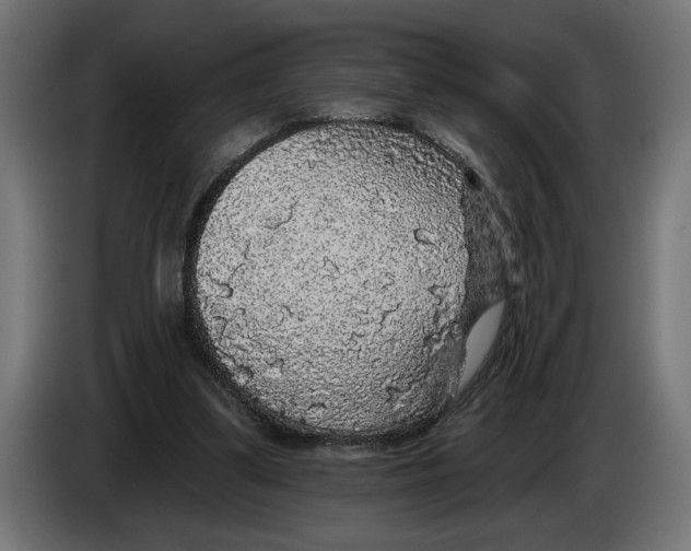 X0000083070299200703022203