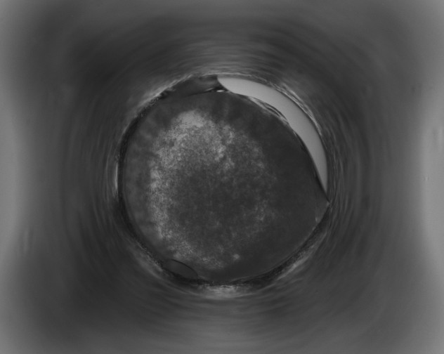 X0000083070301200703022203