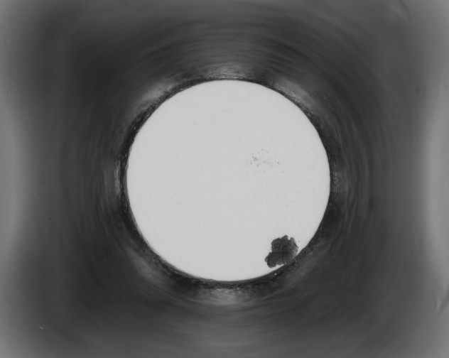 X0000083070302200703022203