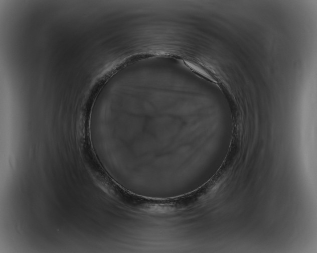 X0000083070303200703022203